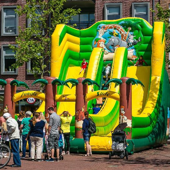 Jungle Slide