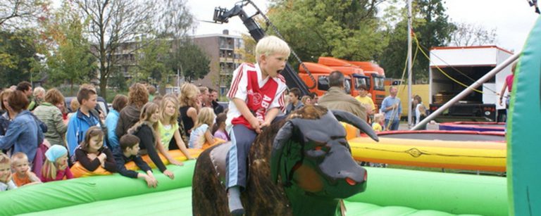 Rodeostier huren in Dedemsvaart Hardenberg